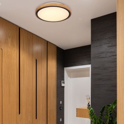 Globo - LED mennyezeti lámpa LED/12W/230V 307 mm 3000/4500/6000K