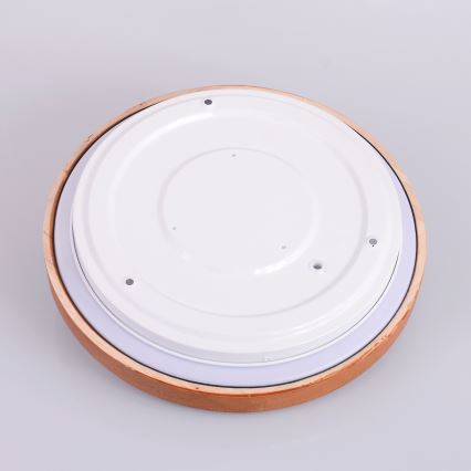 Globo - LED mennyezeti lámpa LED/12W/230V 307 mm 3000/4500/6000K