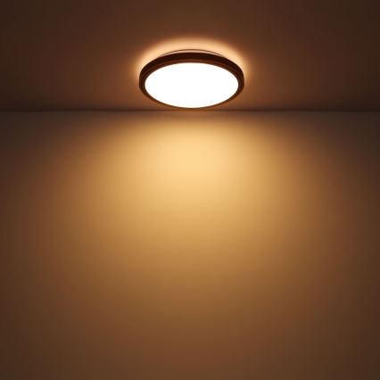 Globo - LED mennyezeti lámpa LED/12W/230V 307 mm 3000/4500/6000K