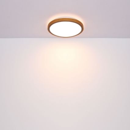 Globo - LED mennyezeti lámpa LED/12W/230V 307 mm 3000/4500/6000K