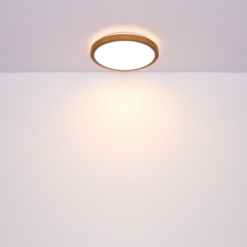 Globo - LED mennyezeti lámpa LED/12W/230V 307 mm 3000/4500/6000K