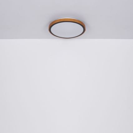 Globo - LED mennyezeti lámpa LED/12W/230V 307 mm 3000/4500/6000K