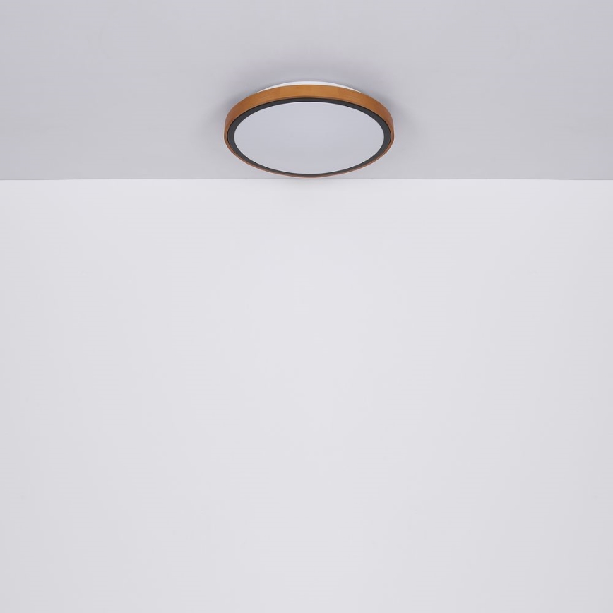 Globo - LED mennyezeti lámpa LED/12W/230V 307 mm 3000/4500/6000K