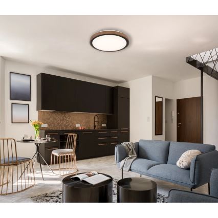 Globo - LED Mennyezeti lámpa LED/18W/230V 3000/4000/6000K