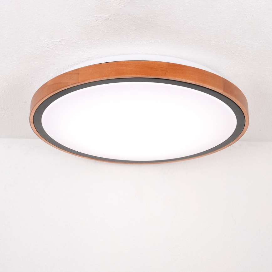 Globo - LED Mennyezeti lámpa LED/24W/230V 3000/4500/6000K átm. 43,7 cm