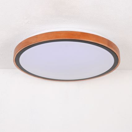 Globo - LED Mennyezeti lámpa LED/24W/230V 3000/4500/6000K átm. 43,7 cm