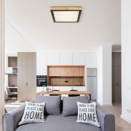 Globo - LED Mennyezeti lámpa LED/24W/230V 3000/4500/6000K