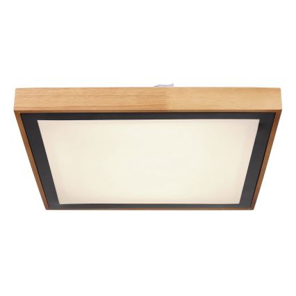 Globo - LED Mennyezeti lámpa LED/24W/230V 3000/4500/6000K