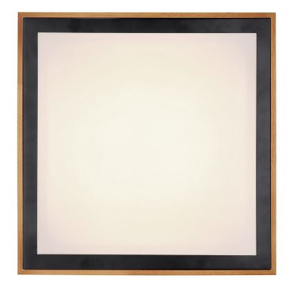 Globo - LED Mennyezeti lámpa LED/24W/230V 3000/4500/6000K