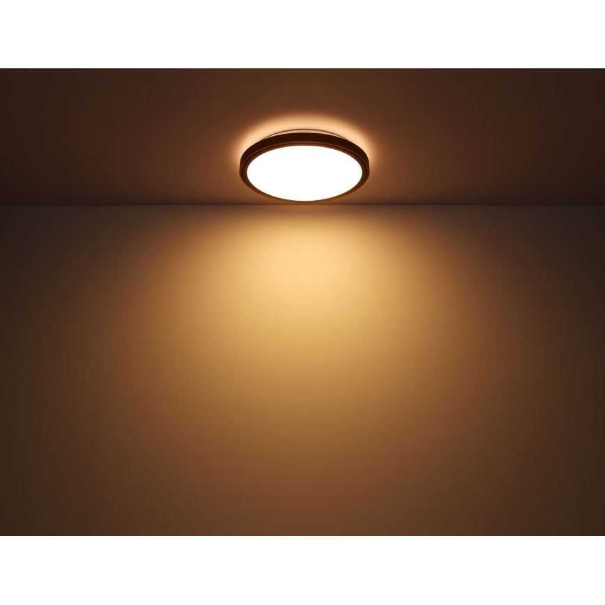 Globo - LED Mennyezeti lámpa LED/12W/230V 3000/4500/6000K átm. 30 cm