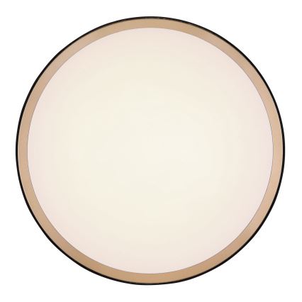 Globo - LED Mennyezeti lámpa LED/12W/230V 3000/4500/6000K átm. 30 cm