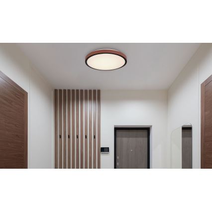 Globo - LED Mennyezeti lámpa LED/24W/230V 3000/4500/6000K átm. 42 cm