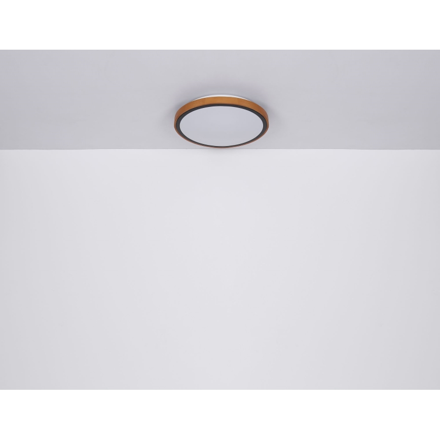 Globo - LED Mennyezeti lámpa LED/24W/230V 3000/4500/6000K átm. 42 cm