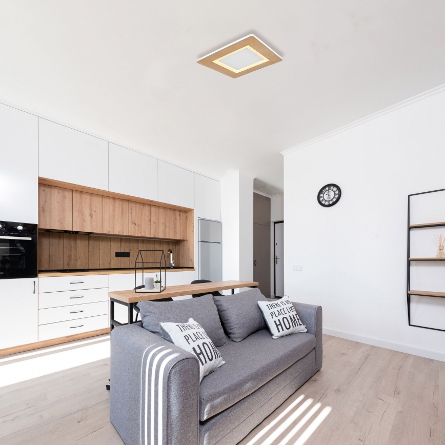 Globo - LED Mennyezeti lámpa LED/23W/230V 2700/6500K