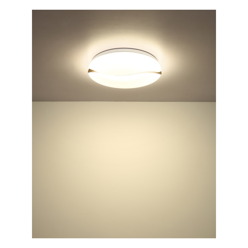 Globo - LED mennyezeti lámpa LED/24W/230V 3000/4200/6000K átm. 33 cm