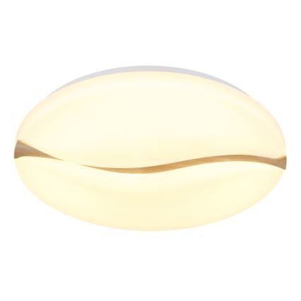Globo - LED mennyezeti lámpa LED/24W/230V 3000/4200/6000K átm. 33 cm