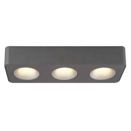 Globo - LED Mennyezeti lámpa LED/14W/230V 11,7x33,2 cm