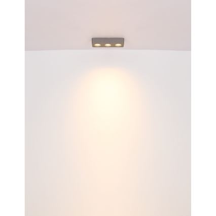 Globo - LED Mennyezeti lámpa LED/14W/230V 11,7x33,2 cm