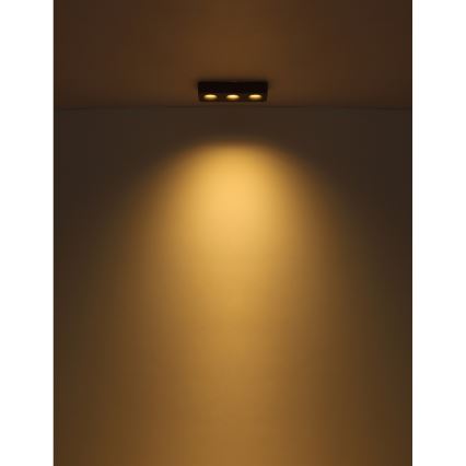Globo - LED Mennyezeti lámpa LED/14W/230V 11,7x33,2 cm