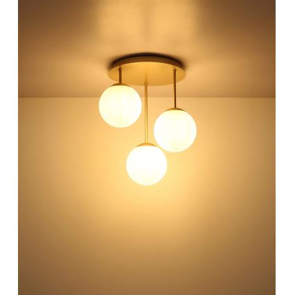 Globo - Felületre szerelt csillár 3xE14/25W/230V sárgaréz