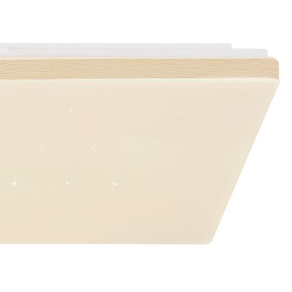 Globo - Fényerőszabályozható LED mennyezeti lámpa LED/24W/230V Wi-Fi Tuya + távirányító