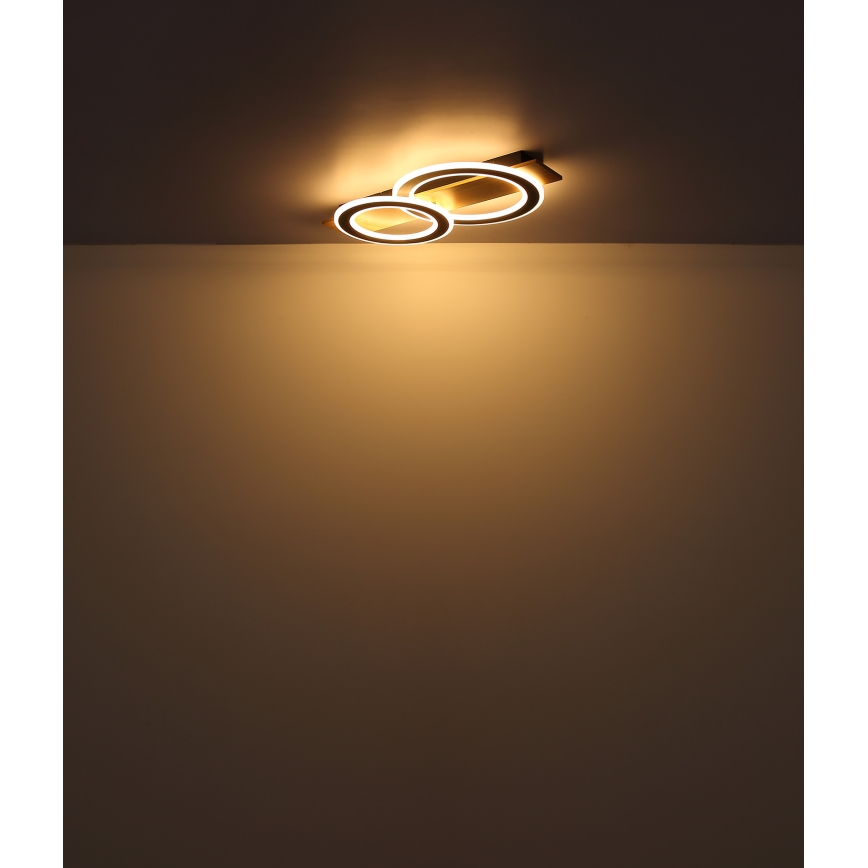 Globo - LED Mennyezeti lámpa LED/40W/230V barna