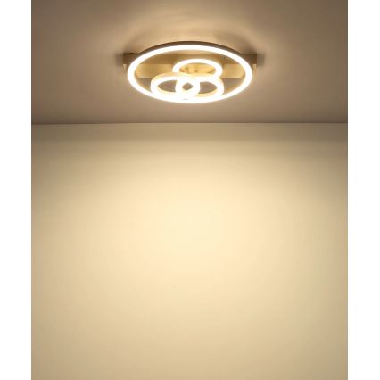 Globo - LED fényerőszabályozható mennyezeti lámpa LED/40W/230V 2700-6500K átm. 35x33 cm bézs + távirányító