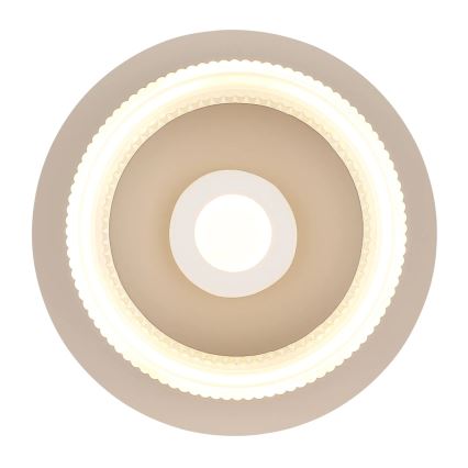Globo - LED mennyezeti lámpa LED/8W/230V 3000K átm. 16 cm