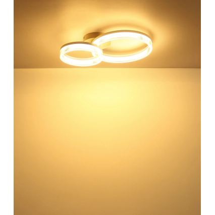 Globo - LED mennyezeti lámpatest 24W/230V 3000K 33x50 cm