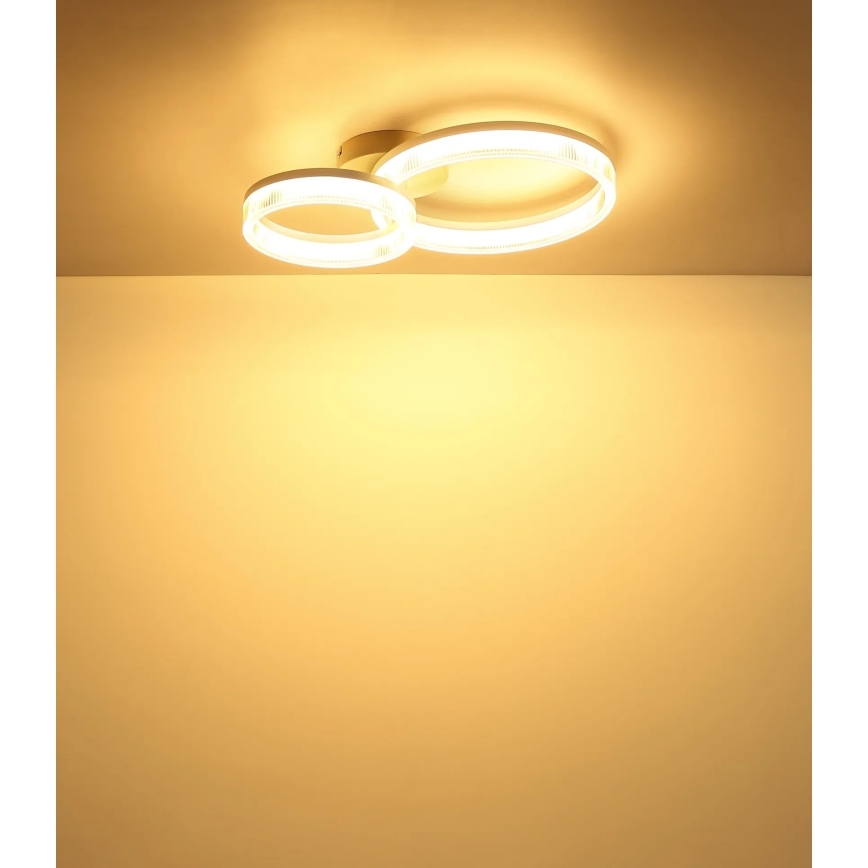 Globo - LED mennyezeti lámpatest 24W/230V 3000K 33x50 cm