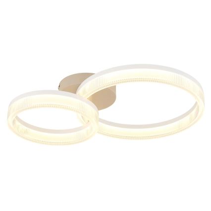 Globo - LED mennyezeti lámpatest 24W/230V 3000K 33x50 cm