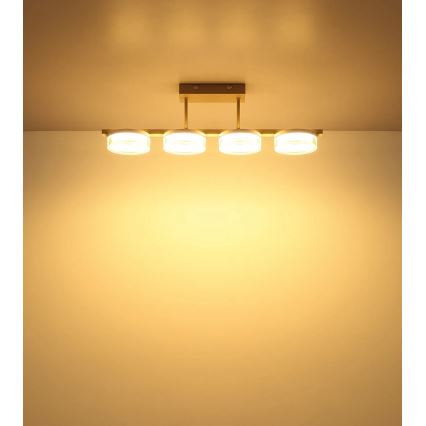 Globo - LED felületre szerelhető csillár LED/24W/230V 3000K