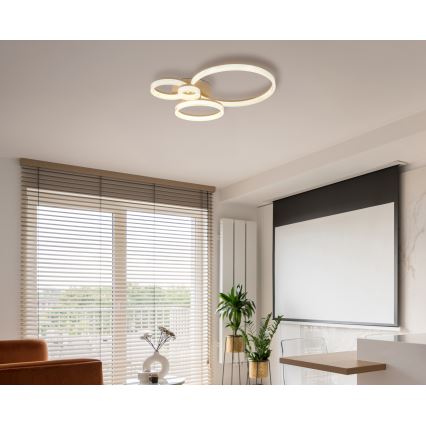 Globo - LED mennyezeti lámpatest LED/40W/230V 3000K 64,5x75 cm