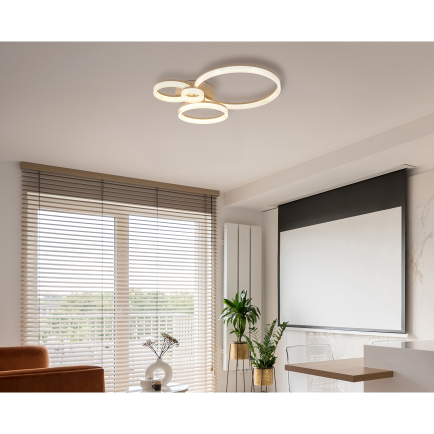 Globo - LED mennyezeti lámpatest LED/40W/230V 3000K 64,5x75 cm