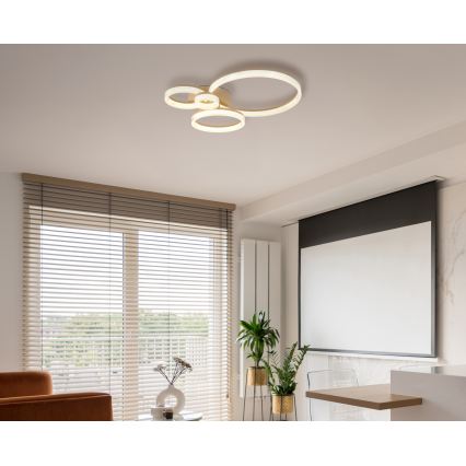 Globo - LED mennyezeti lámpatest LED/40W/230V 3000K 64,5x75 cm