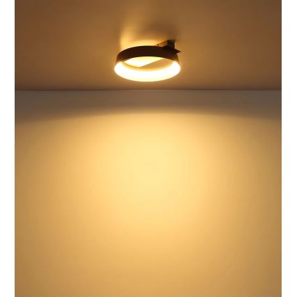 Globo - LED mennyezeti lámpatest LED/12W/230V 3000K 26x25 cm
