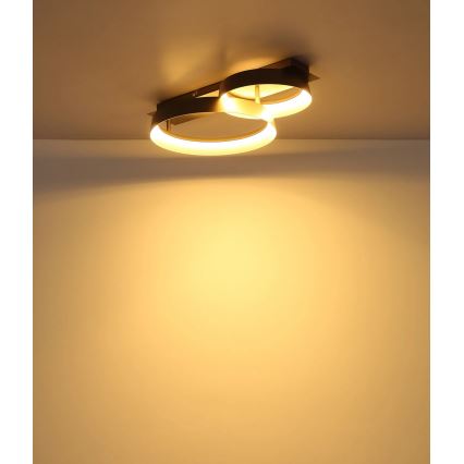Globo - LED mennyezeti lámpatest LED/24W/230V 3000K 50x35 cm