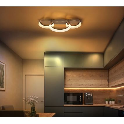 Globo - LED mennyezeti lámpa LED/40W/230V 3000K 70x35 cm