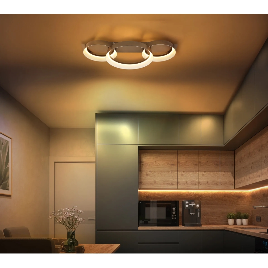 Globo - LED mennyezeti lámpa LED/40W/230V 3000K 70x35 cm