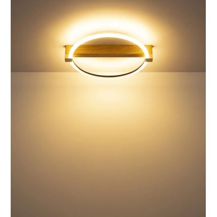 Globo - LED mennyezeti lámpa LED/15W/230V 3000K 41,4x38 cm bézs