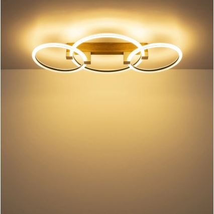 Globo - LED mennyezeti lámpatest LED/40W/230V 3000K 76,1x38 cm barna
