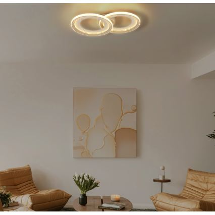 Globo - LED mennyezeti lámpa LED/30W/230V 3000K 31,5x52,5 cm