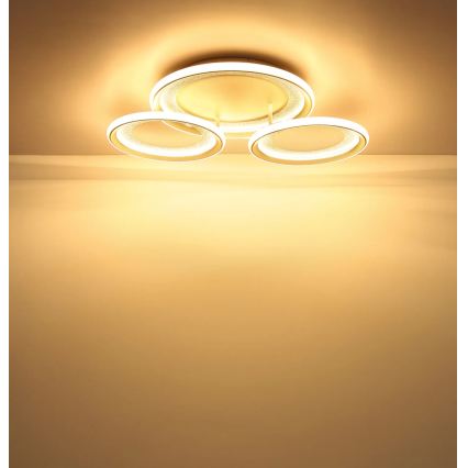 Globo - LED mennyezeti lámpa LED/40W/230V 3000K 60,5x62,5 cm