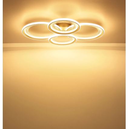 Globo - LED mennyezeti lámpatest LED/50W/230V 3000K 64,5x85,5 cm