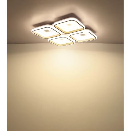 Globo - LED dimmelhető mennyezeti lámpatest LED/55W/230V 2700-6000K 54x54 cm + távirányító