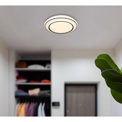 Globo - LED Mennyezeti lámpa LED/24W/230V 3000K átm. 39 cm