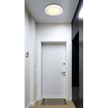 Globo - LED Mennyezeti lámpa LED/24W/230V 4000K átm. 38 cm