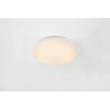 Globo - LED RGB Szabályozható mennyezeti lámpa 1xLED/12W/230V + 1xLED/3W