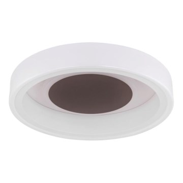 Globo 48398-24 - LED Mennyezeti lámpa GOFFI LED/30W/230V