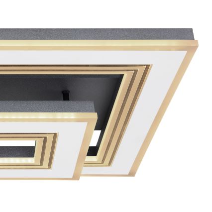 Globo - LED dimmelhető mennyezeti lámpa LED/50W/230V 2700-6000K + távirányító